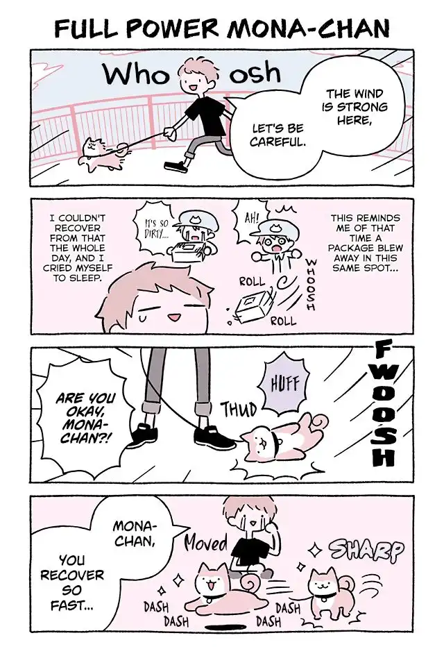 Wonder Cat Kyuu-chan Chapter 677 1